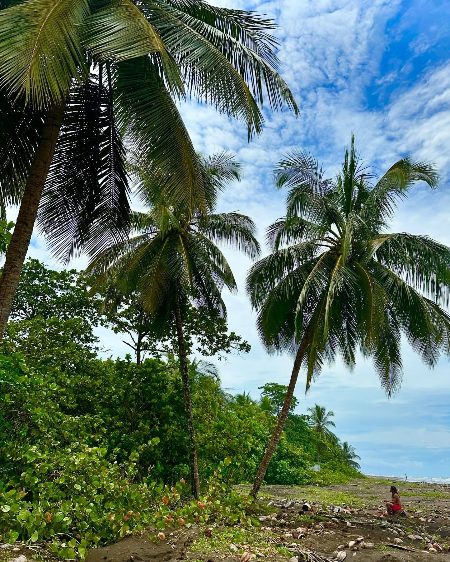 Tortuguero National Park view