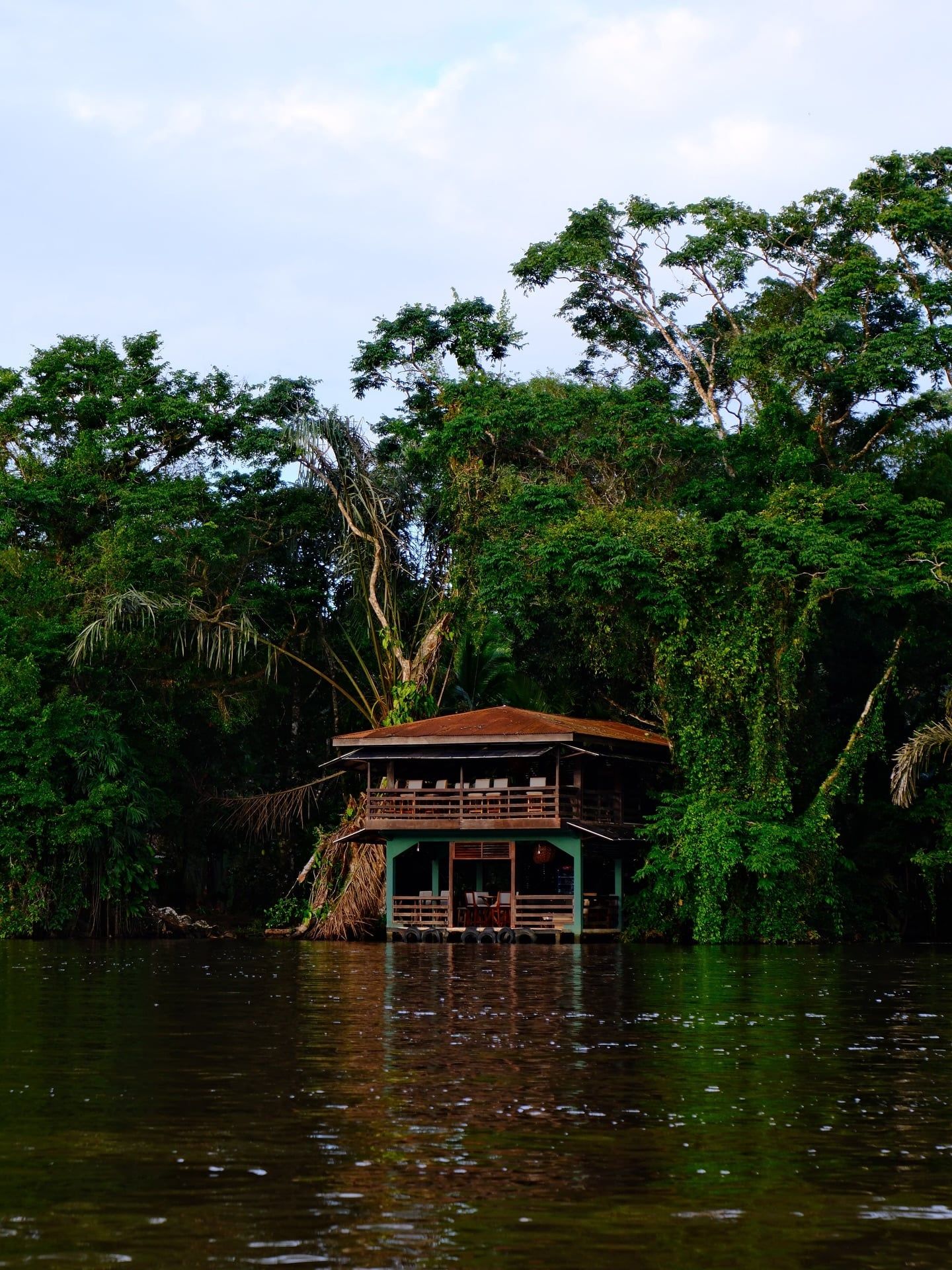 Tortuguero National Park view