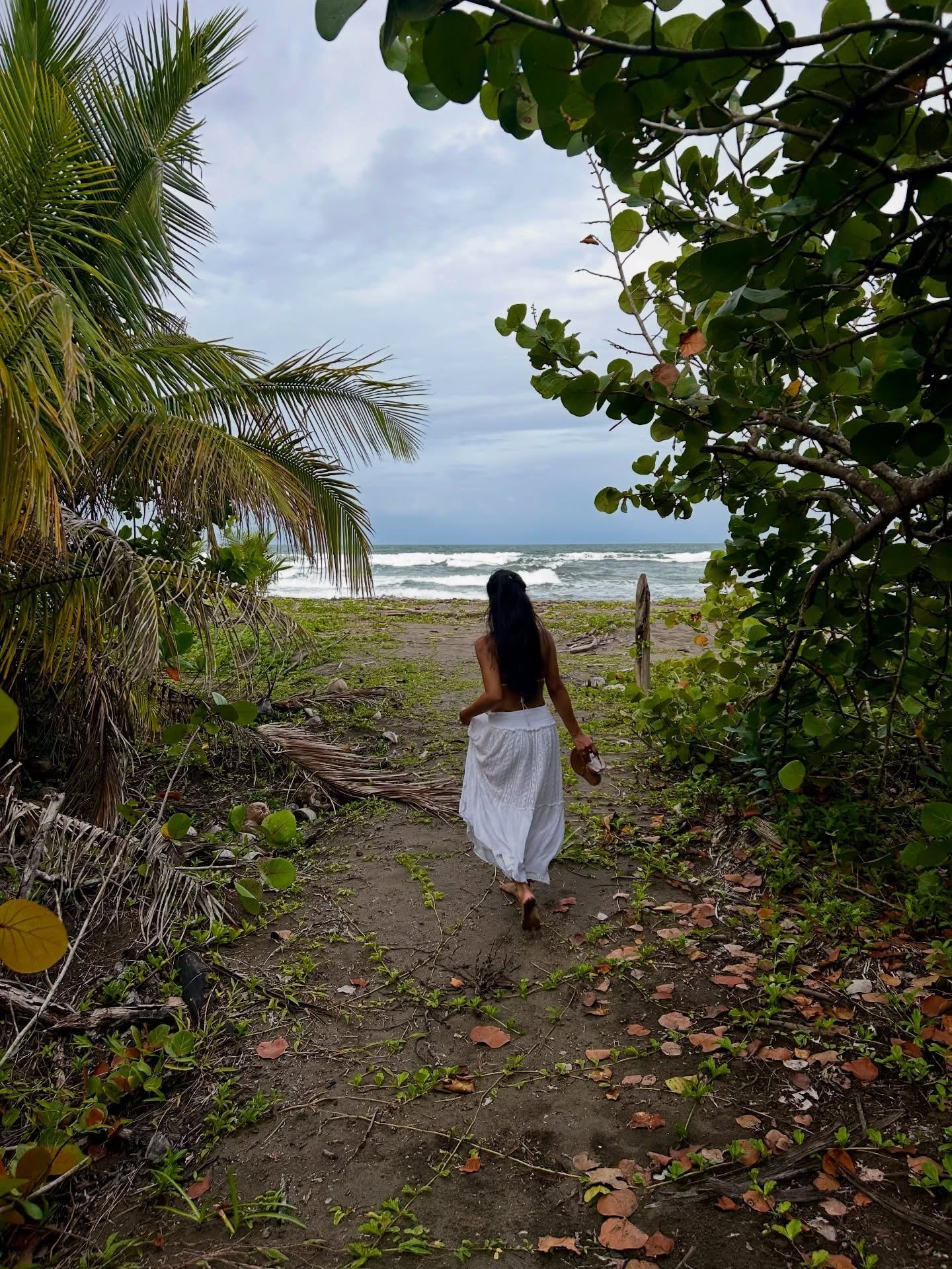 Tortuguero National Park tour visitor photo
