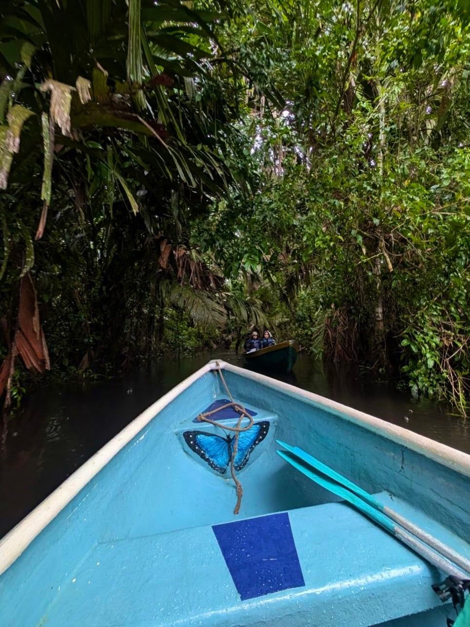Tortuguero National Park tour visitor photo